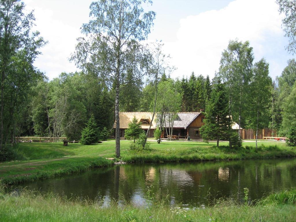 Viikingite Kuela Saula Pokoj fotografie