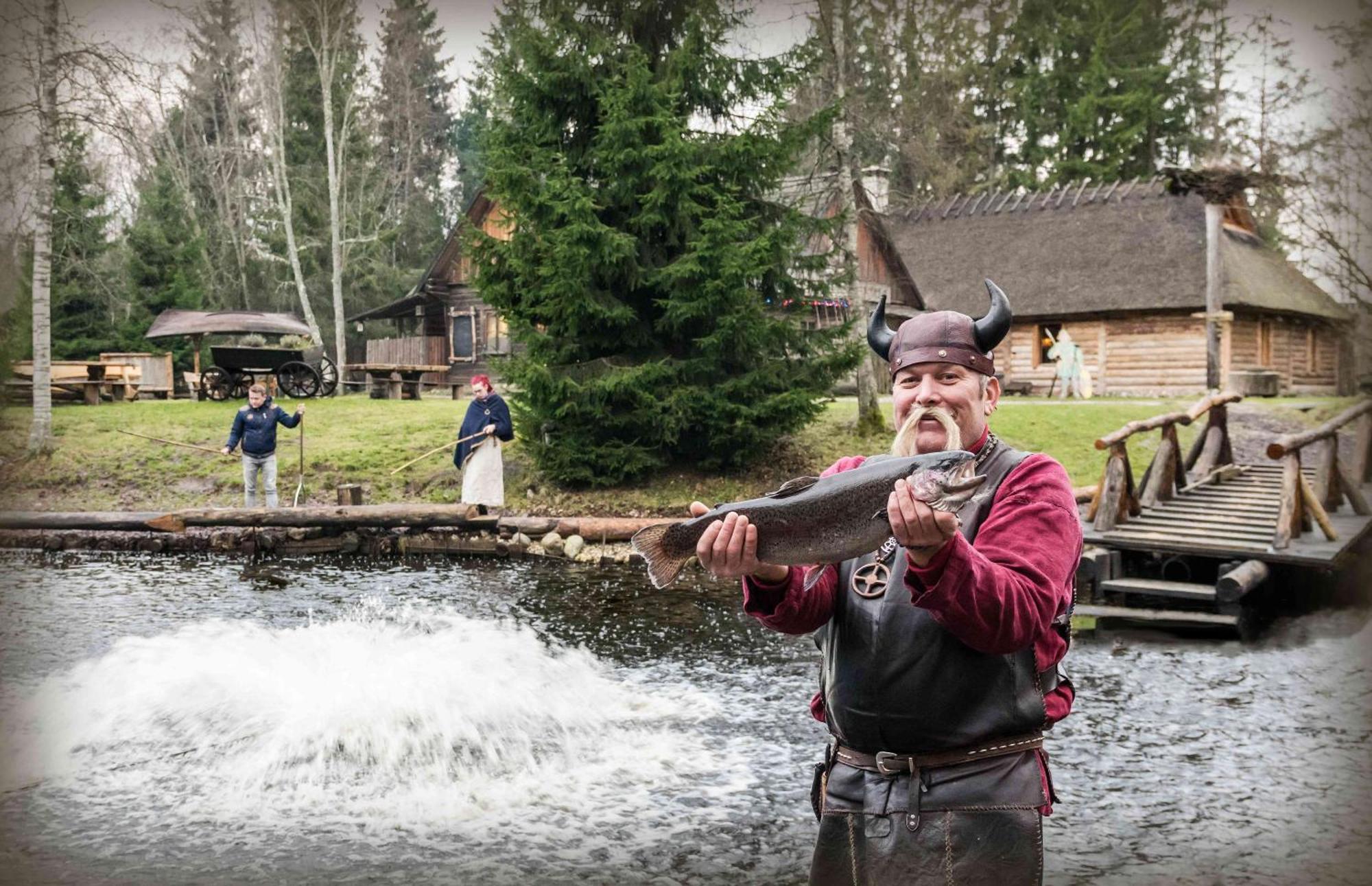 Viikingite Kuela Saula Exteriér fotografie
